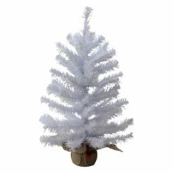 Discount 𧨠Tabletop π
Christmas Tree DΓ©cor Northlight 2 Ft. White Balsam Pine Unlit π
Christmas Tree In Burlap Base π